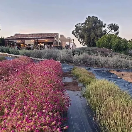 Quinta Do Mel Kır Evi