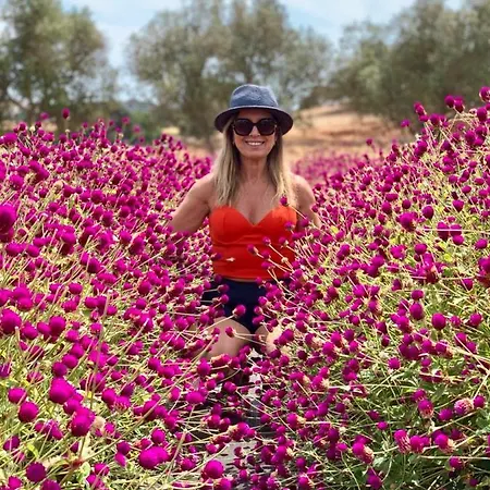 Quinta Do Mel אלבופיירה